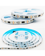 12V TM512AC DMX512 RGBW 5050 LED light strip